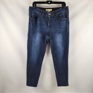 Democracy Womens Ab Solution Blue Jeans Plus Size 14 (35X27)